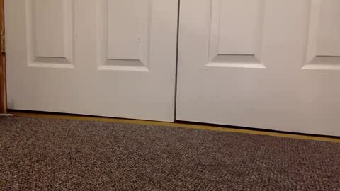 cash13bychanel online show from January 8, 6:41 am