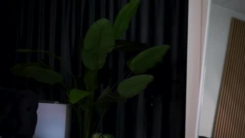 Cataleya online show from September 14, 7:45 pm