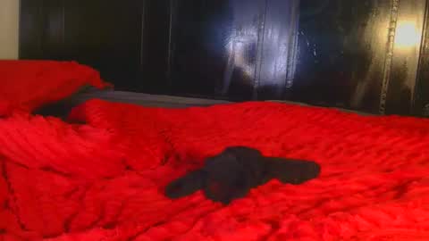 catrine online show from September 19, 2:43 am