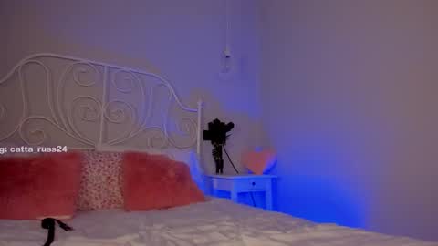 catta 3 online show from February 25, 6:47 am