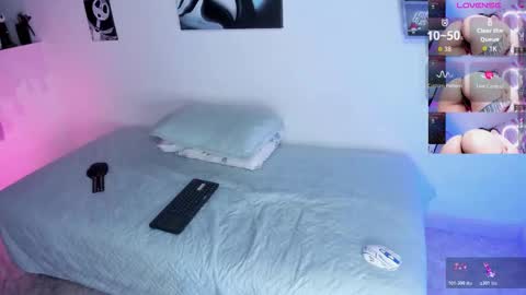 CattNamy online show from February 16, 8:20 pm