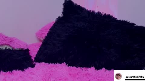 celestte_evans_1 online show from February 20, 5:06 am