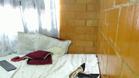 Charlotte online show from April 11, 2:10 pm