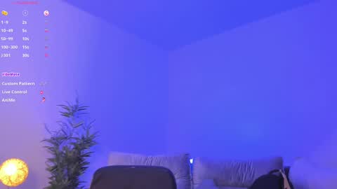 Charlotte  Everyday From 0700 to 1300 Col Time online show from February 13, 11:06 am