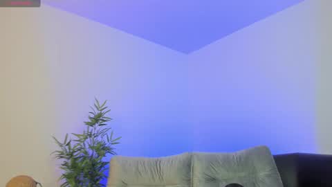 Charlotte  Everyday From 0700 to 1300 Col Time online show from March 6, 11:14 am