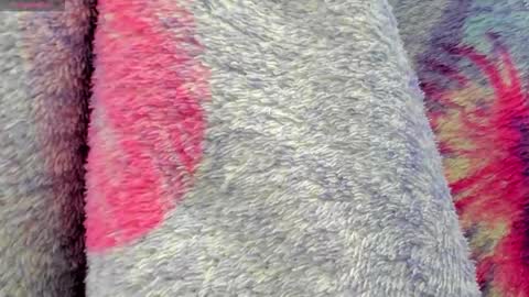 Mia online show from October 6, 9:37 am