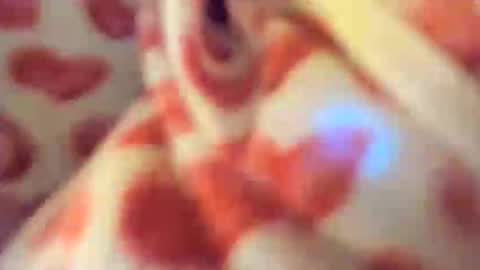 yoursensualparadise online show from October 23, 1:22 am