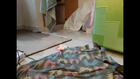 coco vixen9 online show from November 29, 9:13 am