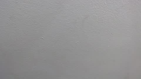  GRETCHEN  online show from January 16, 12:31 pm