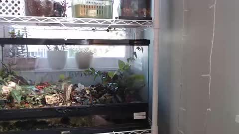 ANR Mommy online show from September 22, 7:12 pm