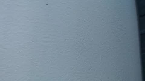 Hanna  online show from February 15, 6:02 am