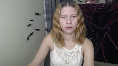 Stella online show from November 18, 7:42 am