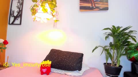 Rose online show from January 28, 8:04 pm