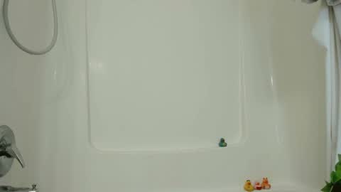 Cynpai online show from February 20, 5:55 am