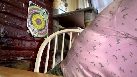 dabqueen_1994 online show from March 13, 12:39 pm