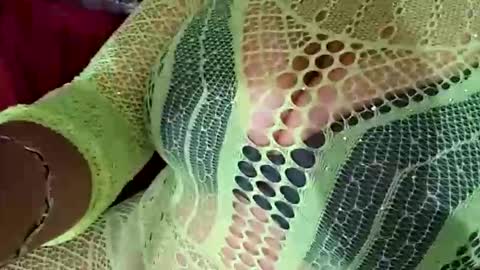 Daddett iS Wett online show from March 31, 8:14 am