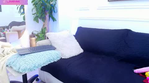 Daisy Price online show from November 12, 11:30 am