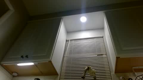 Nova online show from October 7, 8:08 am