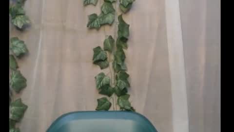 sexygal online show from September 19, 12:09 am