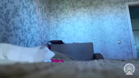 D online show from September 13, 5:26 am