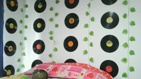 Darlyhooper online show from February 26, 5:31 pm