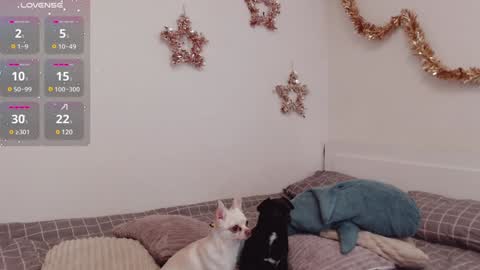 Demi. not your babybabebb and other shit online show from January 14, 10:27 am