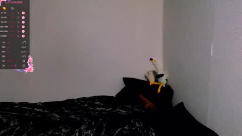 Demmi online show from October 20, 11:13 am