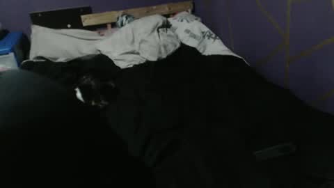 diana online show from February 4, 6:33 pm