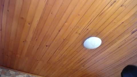 Velma Dinkley online show from November 11, 8:50 pm