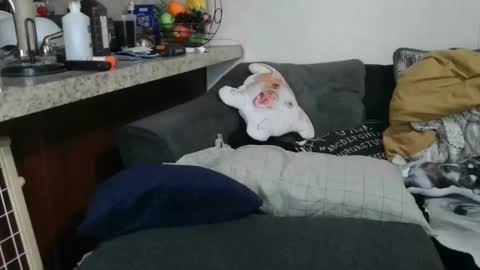 Sofie online show from February 12, 10:46 am