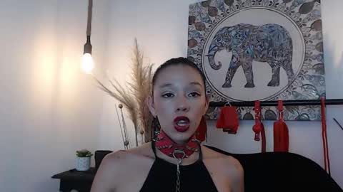 doll4anall online show from February 27, 8:08 pm