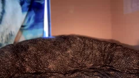 dove_love22 online show from January 12, 5:18 pm