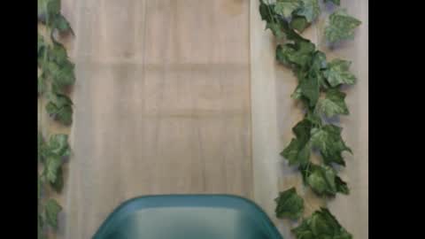 linda online show from December 16, 10:32 am