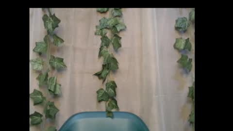 linda online show from November 3, 10:25 pm