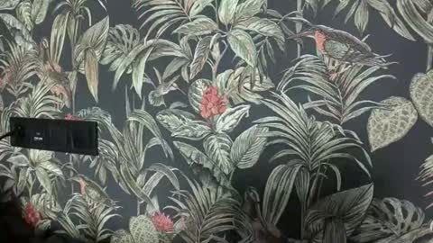 Dya online show from April 1, 10:27 am