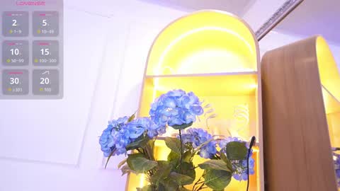 Elasummeer online show from December 18, 11:59 am