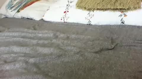 elyseblue online show from November 26, 11:33 am