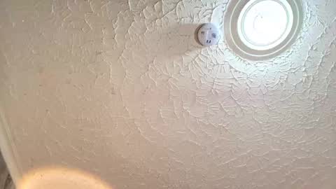 Emiily Carter online show from September 29, 8:25 pm