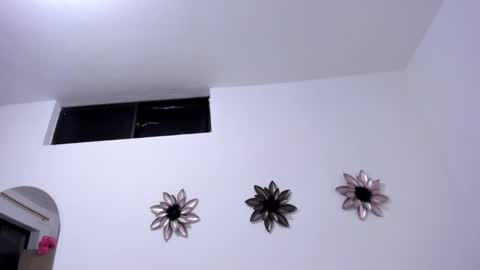 .  . online show from February 15, 3:20 am