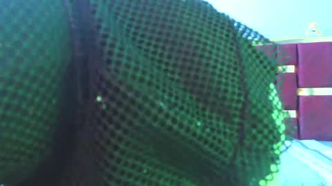 emily fox 3 online show from February 27, 11:41 am