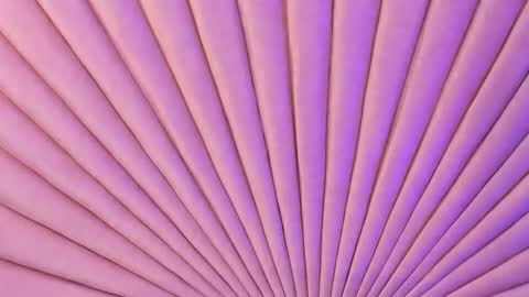           online show from September 26, 12:58 pm