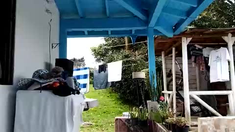 Andrea online show from November 16, 3:34 pm