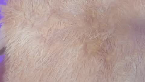 Emy online show from February 6, 10:04 am