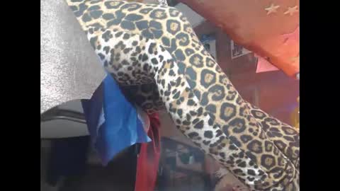 Eskela911 online show from March 23, 8:31 am