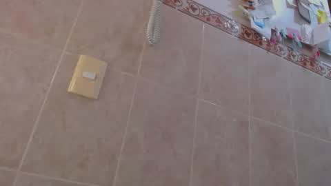 estelamaris online show from February 21, 2:59 pm