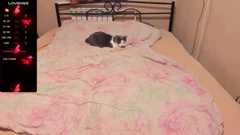 Eva online show from November 9, 4:14 pm