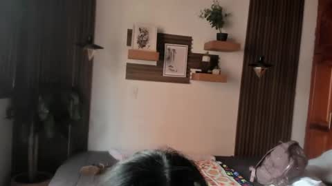 Eva online show from June 3, 1:56 pm