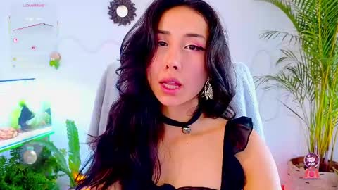 Im Eve or Chelle Next Stream 191224  online show from May 6, 3:05 pm