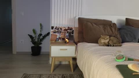 evi_woow online show from September 11, 10:10 pm