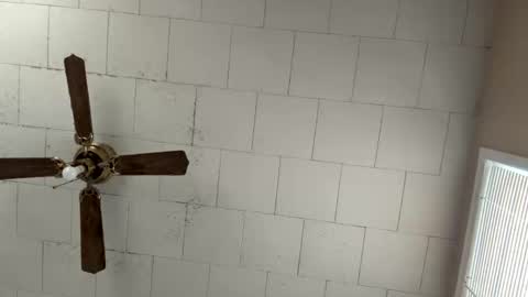 Fee  online show from November 11, 2:25 pm